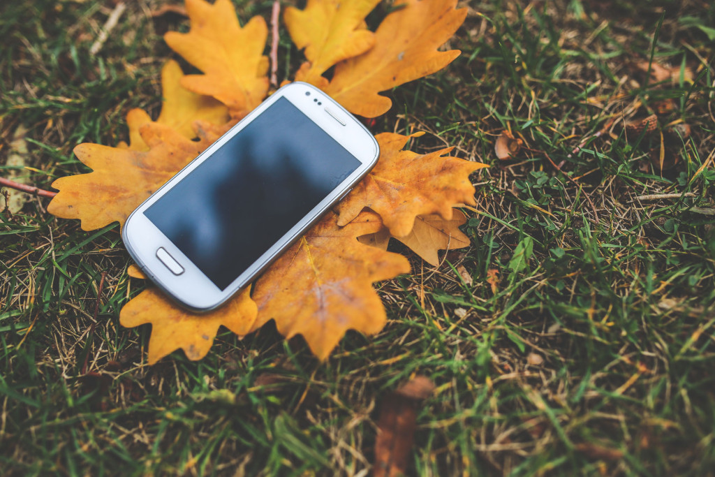 Phone in leaves