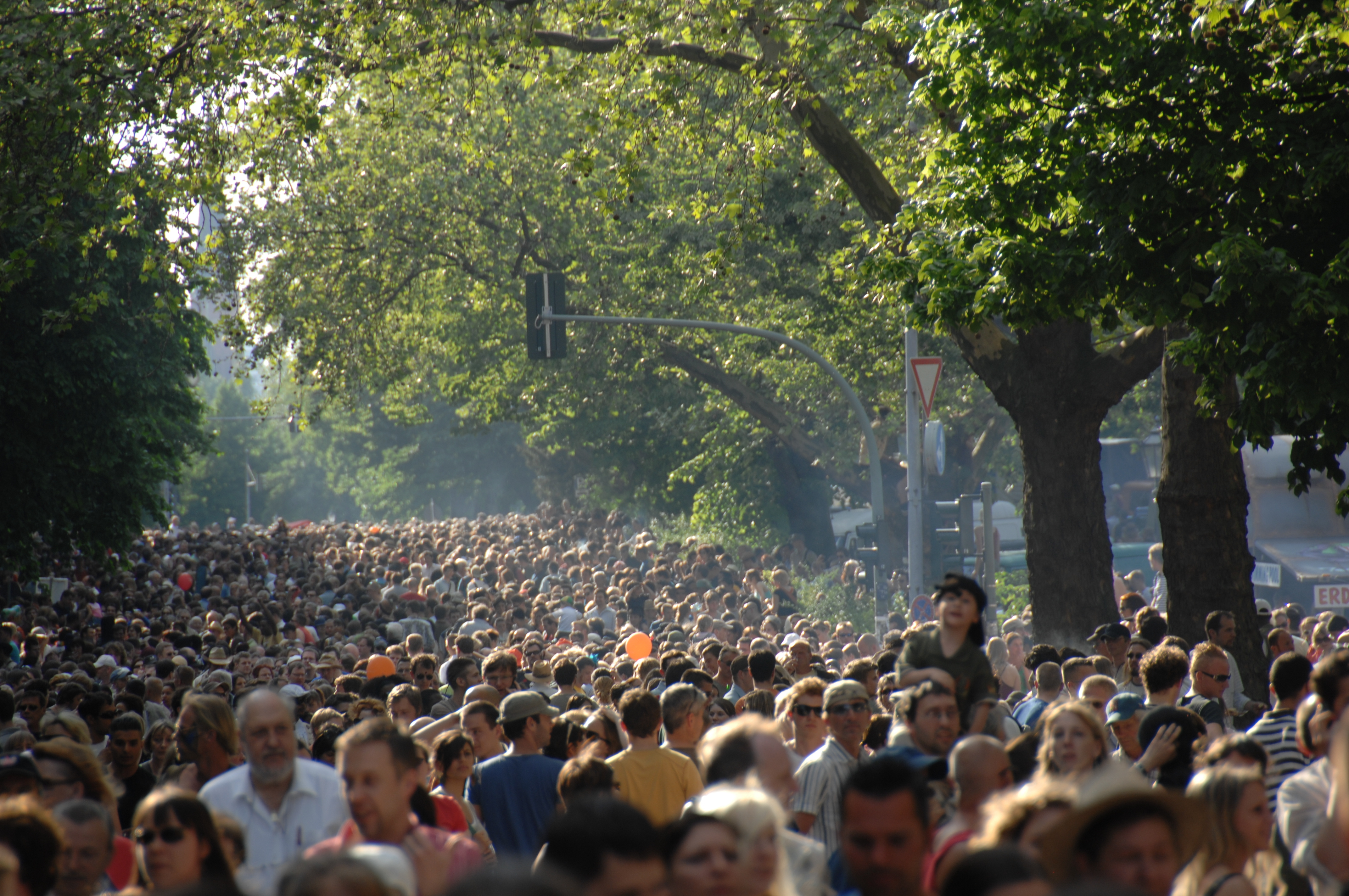 The Crowd The Crowd